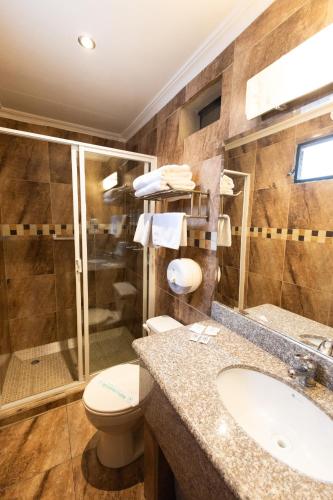a bathroom with a toilet and a sink and a shower at Hotel & Suites El Quijote in Cuenca