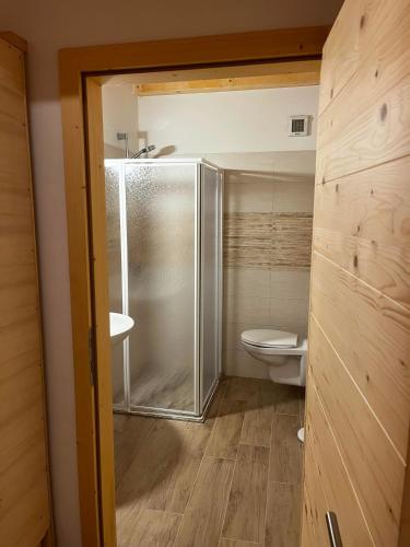 a bathroom with a shower and a toilet at Malga Valmaggiore in Bellamonte