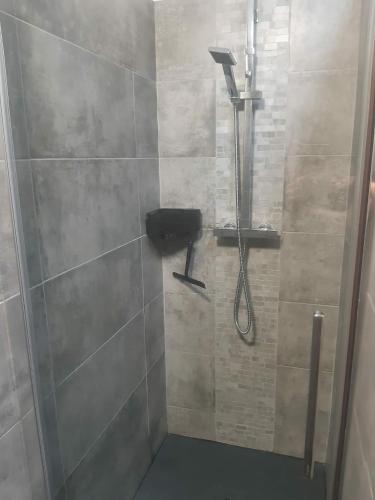 a shower with a shower head in a bathroom at Gîte de l'Ancienne Forge in Epfig