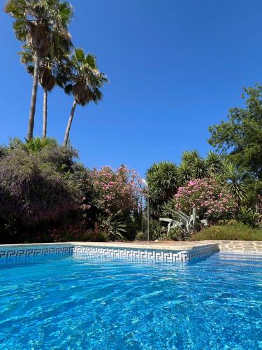 a swimming pool with palm trees in the background at La Finca Blanca in Alora