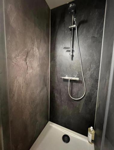 a bathroom with a shower and a bath tub at Le Petit Horloge, Hyper centre de Rennes in Rennes