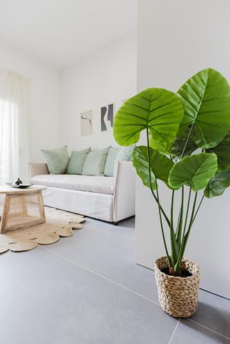 Chic Minimalist Kallithea Apartment