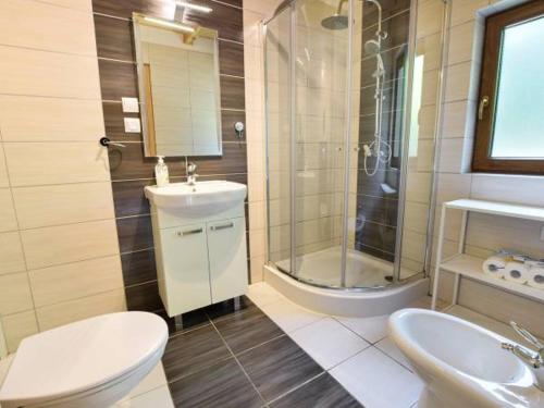 a bathroom with a toilet and a sink and a shower at Leśna Arkadia in Dominice