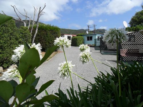 a bunch of white flowers in a garden at Picton's Waikawa Bay Holiday Park in Picton