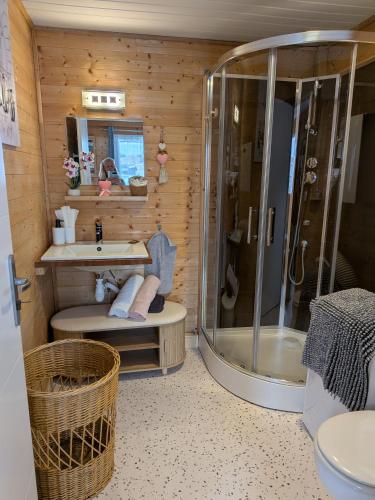 a bathroom with a shower and a sink and a toilet at Studio bois avec jardinet in Parentis-en-Born