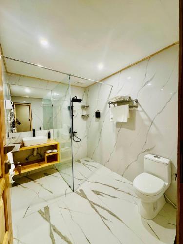 a bathroom with a toilet and a shower and a sink at Meechung Resort in Skardu