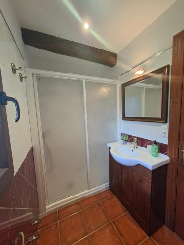 a bathroom with a sink and a shower at Casa Nardo in Benia de Onís