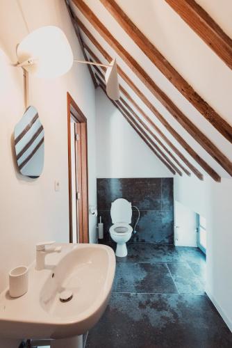 a bathroom with a white sink and a toilet at La MASSERIA in Thuin