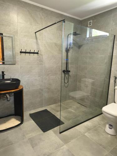 a bathroom with a glass shower with a toilet at Arazani in Lagodekhi