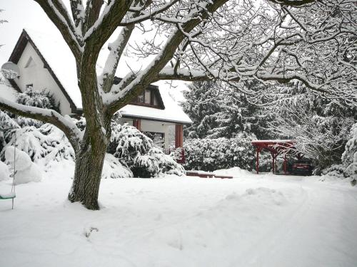 a tree covered in snow next to a house at Dunakanyar Apartment in Tahitótfalu