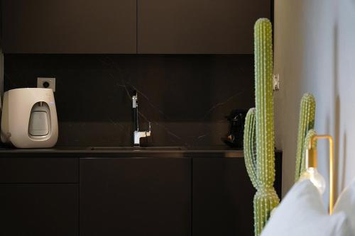 a kitchen with a sink and a green cactus at Y HOUSE SUITES in Mishmār Hāyardin