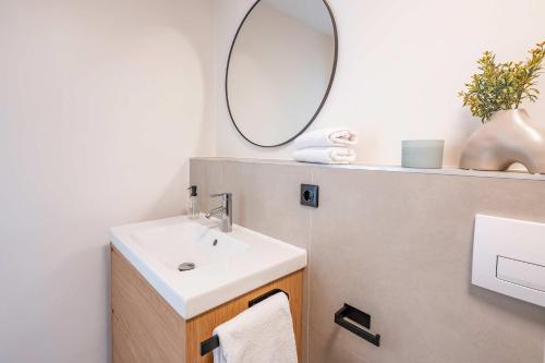 a bathroom with a sink and a mirror at Green Village Igelnest in Benz