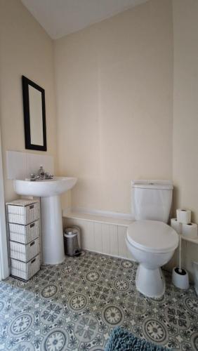 a bathroom with a white toilet and a sink at The Nook - Farm Park Stay with Hot Tub & Dome in Swansea