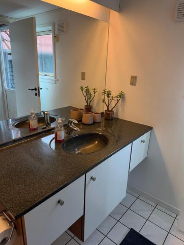 a bathroom counter with a sink and a mirror at BBL59 in Faaborg