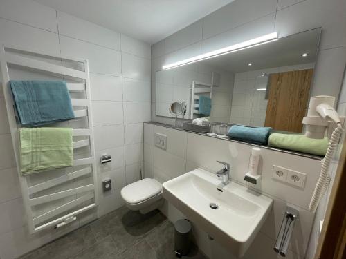 a bathroom with a sink and a toilet and a mirror at Gästehaus Klingler in Besigheim