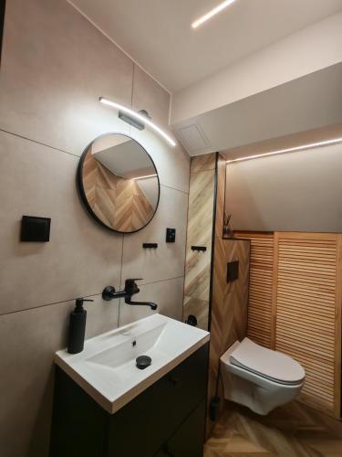 a bathroom with a sink and a toilet and a mirror at Agroturystyka Huta in Krzywe
