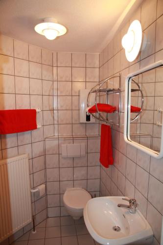 a bathroom with a white toilet and a sink at Ferienwohnung Gerda in Zandt
