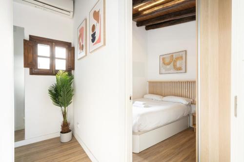 Premium Penthouse Lavapies & Terrace