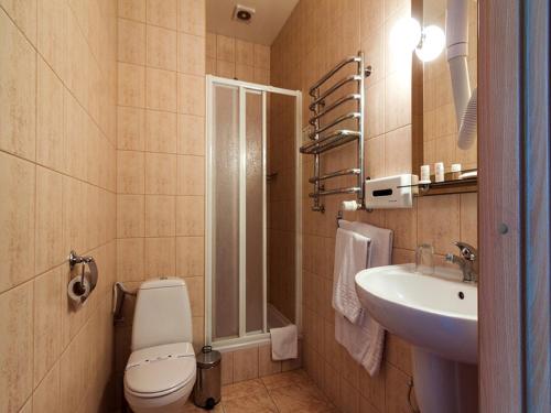 a bathroom with a toilet and a sink at Zoloto Karpat in Stryi