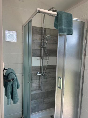 a shower with a glass door in a bathroom at The yurt at Gites 474 in Sallèles-dʼAude