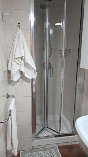 a shower with a glass door in a bathroom at Caterina House in San Lucido
