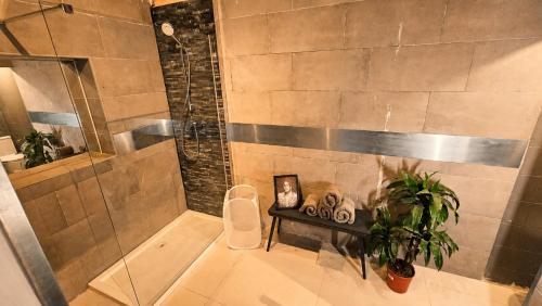 a bathroom with a shower and a potted plant at Aime's House in Sliema