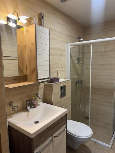 a bathroom with a sink and a toilet and a shower at Apartman Lambros 2 in Soko Banja