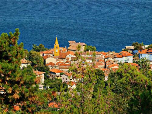 a town on a hill next to the ocean at Apartman Halugica in Lovran