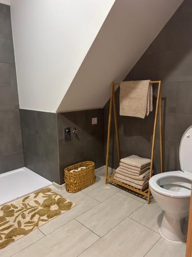a bathroom with a toilet and a rug at Áčko in Oščadnica