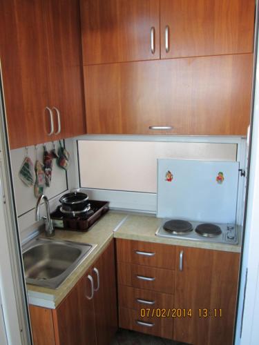 Dapur atau dapur kecil di Guest House Ivo Jovanovic