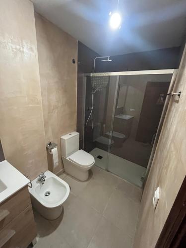 a bathroom with a toilet and a shower and a sink at Brisa de la Laguna in Chipiona