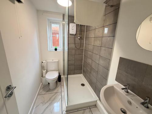 a bathroom with a toilet and a shower and a sink at Modern studio flat in Wellington, Telford in Wellington