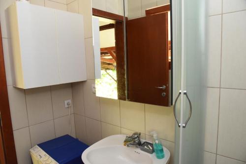 a bathroom with a sink and a mirror at Holiday Home Kućica Na Drvetu in Banja Koviljača