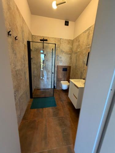 a bathroom with a shower with a toilet and a sink at Apartamenty u Gruzina in Ruda