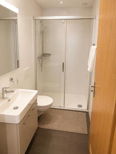 a bathroom with a shower and a toilet and a sink at Skender's Apartment in Interlaken
