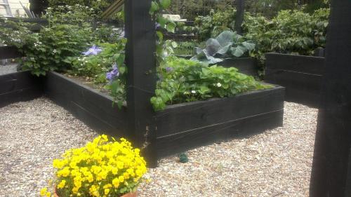 a garden with several different types of plants and flowers at Cambridge Coach House in Cambridge