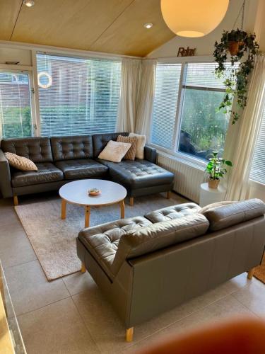 a living room with a couch and a table at Palm89 in Warmenhuizen