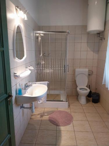 a bathroom with a shower and a sink and a toilet at Tomaj Vendégház in Tomajmonostora
