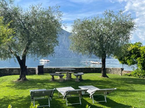 a picnic table and chairs in the grass near the water at Villa Franca in Pilzone