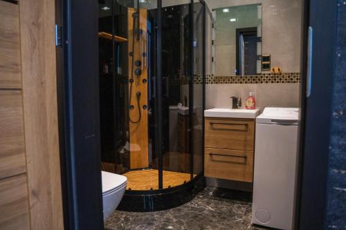 a bathroom with a shower and a toilet and a sink at Kaszmir Apartments in Opole