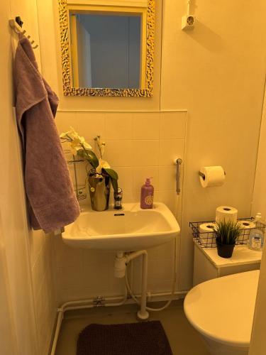a bathroom with a sink and a toilet and a mirror at Karhulan Kammari, oma sisäänkäynti ja WC, Valkeakoski keskusta in Valkeakoski