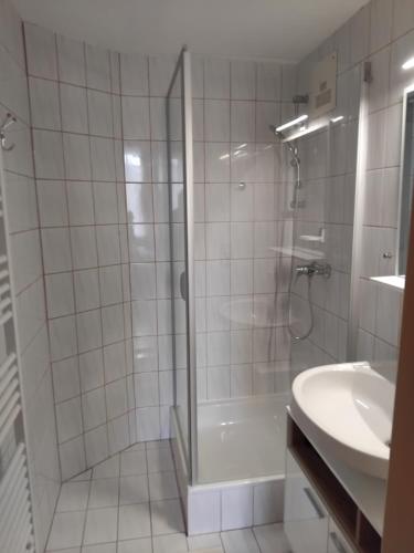 a bathroom with a shower and a sink at Ferienwohnung DuO in Stubenberg