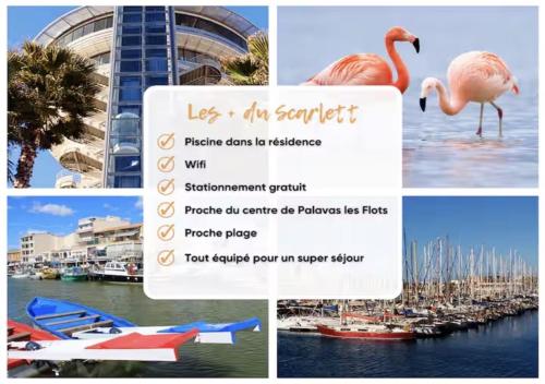 a collage of photos with a flamingo and boats at Janislove34 Maison 1 Chambre avec accès piscine dans résidence à Palavas les flots in Palavas-les-Flots