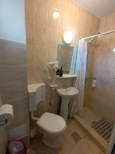 a bathroom with a toilet and a sink and a shower at Casa Ștefan in 2 Mai