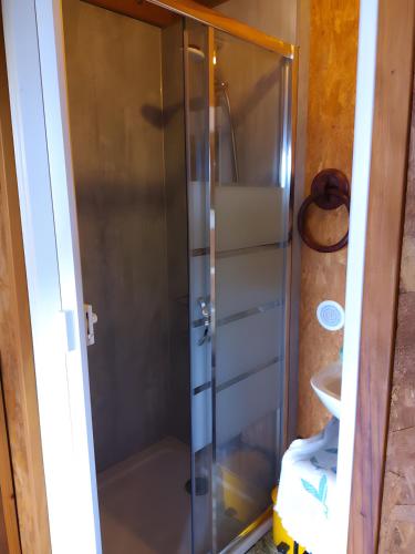 a shower with a glass door in a bathroom at Le Chalet De Pierre Sèche in Chaumard