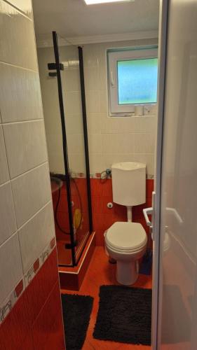 a bathroom with a toilet and a shower at Weekend House Sunset in Zapoljak