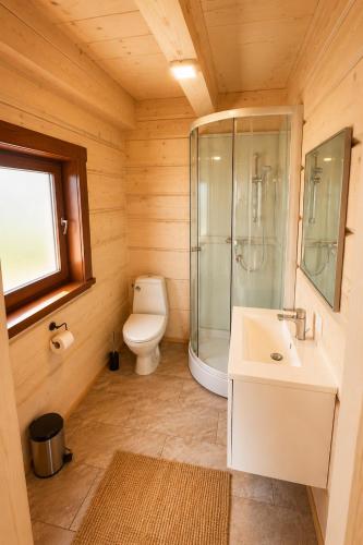 a bathroom with a toilet and a shower and a sink at KOPUVA seaside villas in Nida