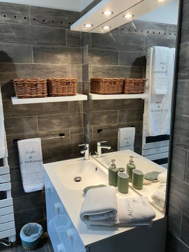 a bathroom with a sink and a mirror at Logis de la Jordronnière, Chambre d hôtes in Sigournais