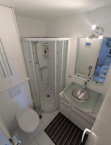 a bathroom with a sink and a shower and a toilet at Maisonnette Piriac-sur-Mer in Piriac-sur-Mer