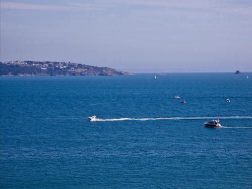 a group of boats in a large body of water at Dunlin 4 - The Cove in Brixham